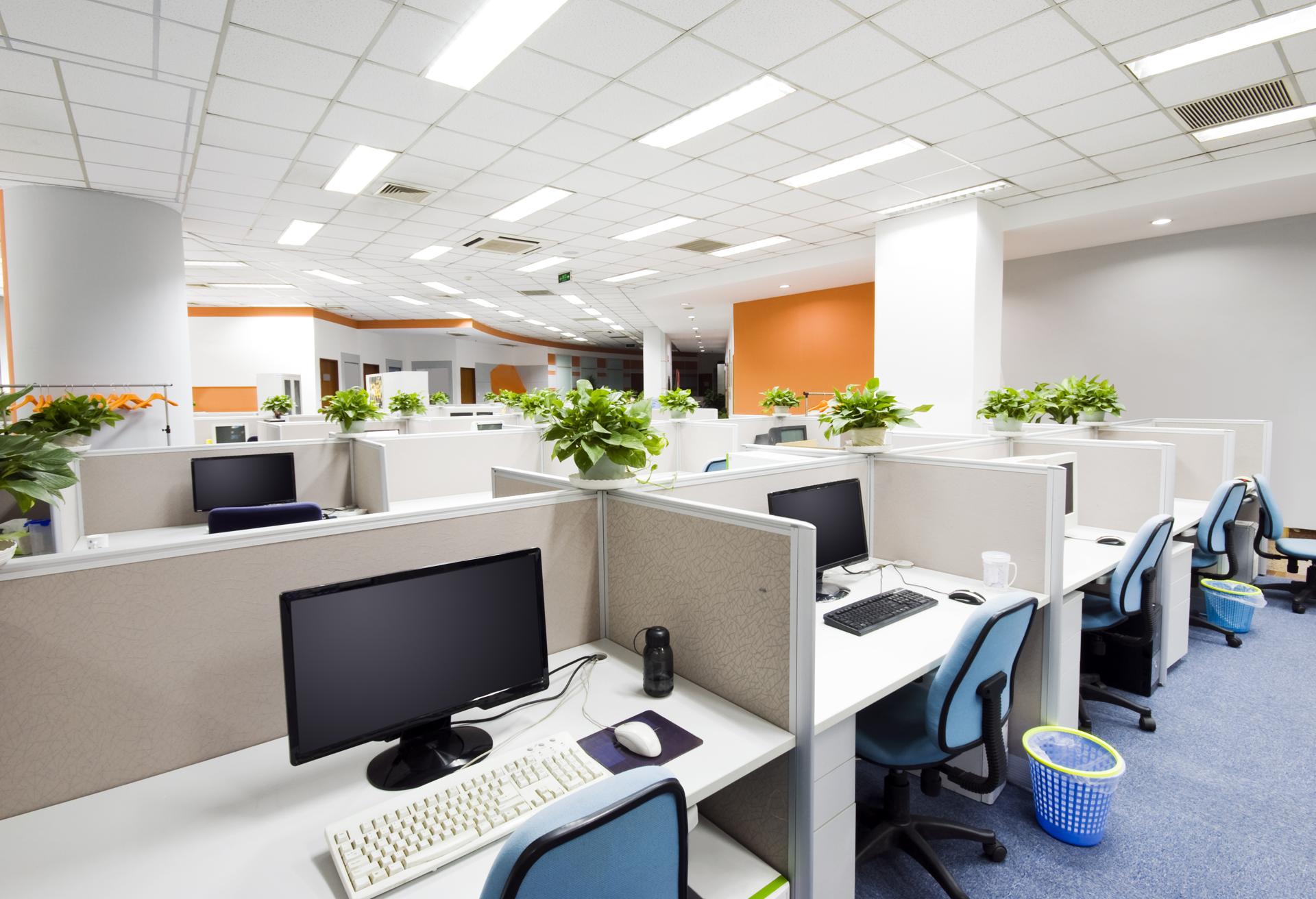 Affordable Janitorial Cleaning in Takapuna